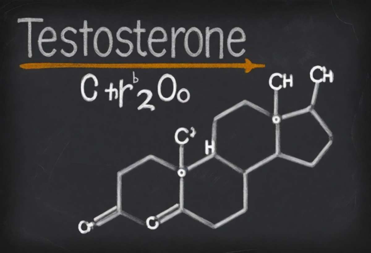 Understanding Testosterone and Its Impact on Your Health